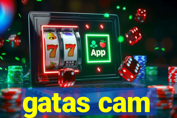 gatas cam